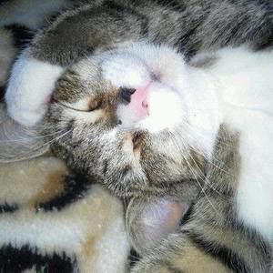 Meet your Posher, Gunhild