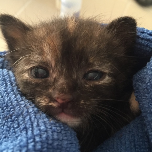 Meet your Posher, Shelly