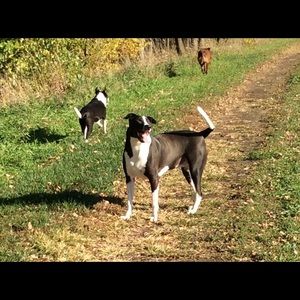 Meet your Posher, Bridgett