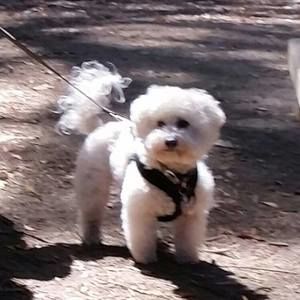 Meet your Posher, Carolyn