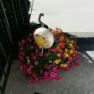 Meet your Posher, Jan