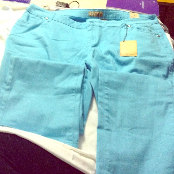 Light Blue Plus Size Skinny Jeans