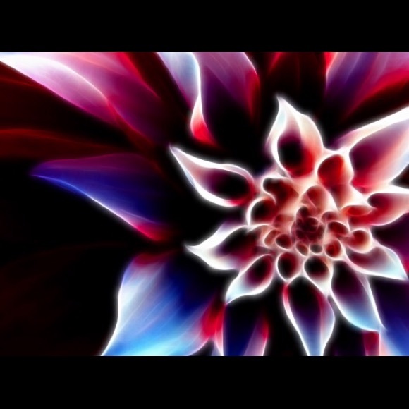 Meet your Posher, Kamilia