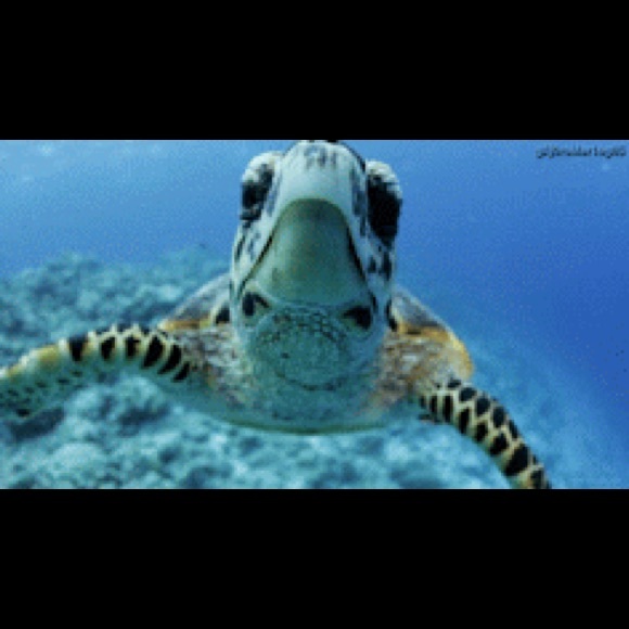 Iso clothes of all types!