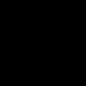 Meet your Posher, Shania