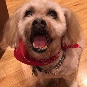 Meet your Posher, Cecilia