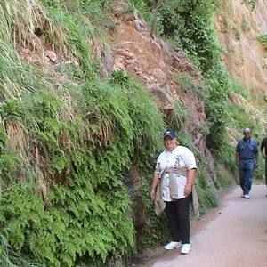 Meet your Posher, Beverly