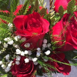 Meet your Posher, Paige