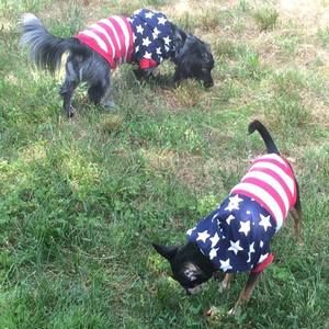 Meet your Posher, Bethany