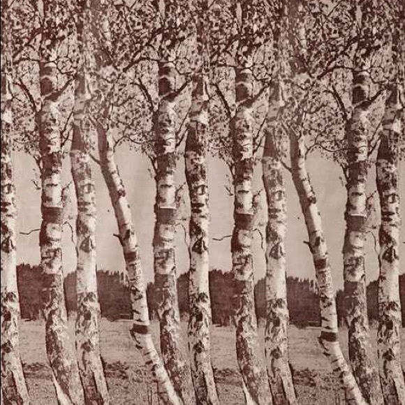 Urban Outfitters Birch Tree Tapestry