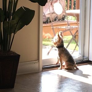 Meet your Posher, Cynthia