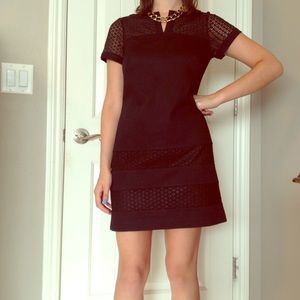 Ann Taylor dress