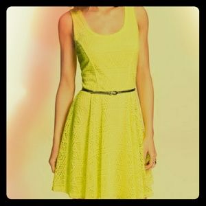 Express neon yellow skater dress
