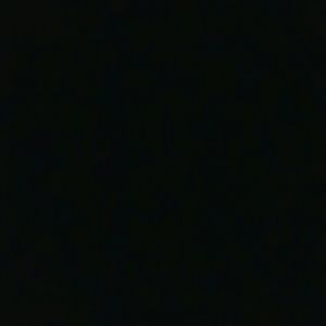 Meet your Posher, Chastity