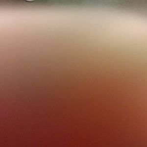 Meet your Posher, Ken