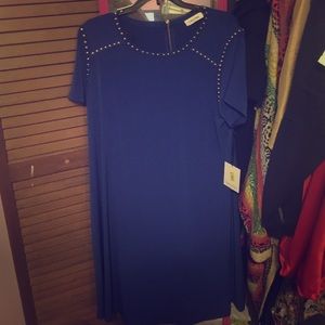 Never Worn All Purpose Dress
