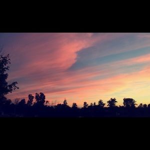 Meet your Posher, Kalena