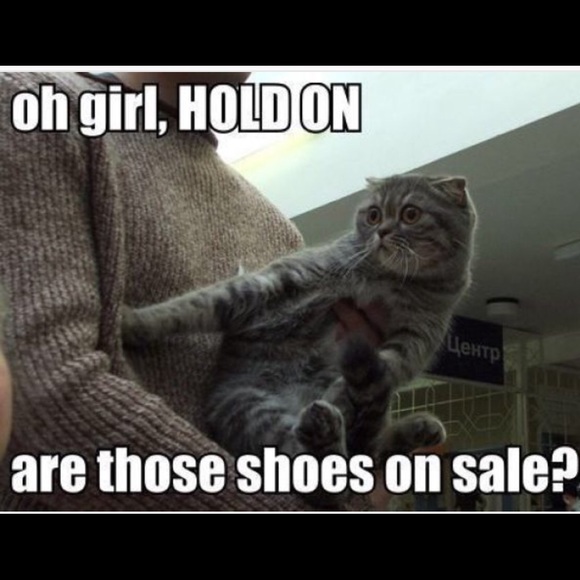 Meet your Posher, Misha - Picture 3 of 4