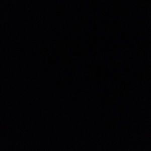 Meet your Posher, Ella