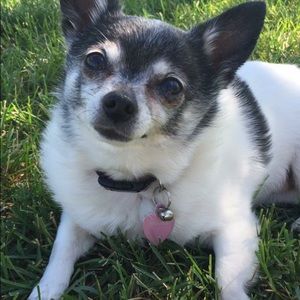 Meet your Posher, Kaitlyn