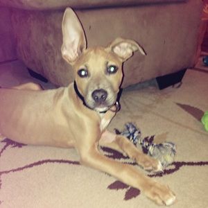 Meet your Posher, Alanna