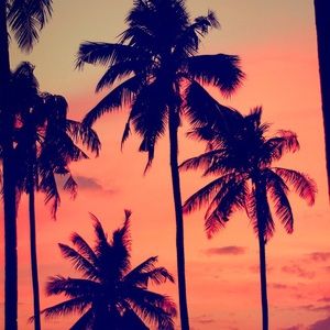 Meet your Posher, Kai