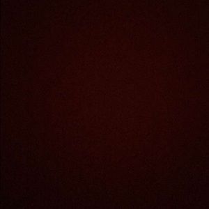 Meet your Posher, Shelby