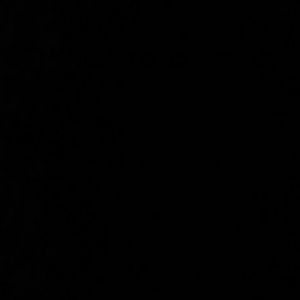 Meet your Posher, Shanta