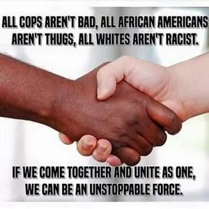 Meet your Posher, Ginger