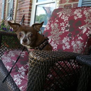 Meet your Posher, Cindy