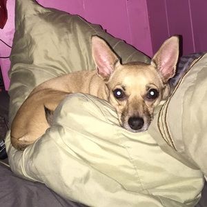 Meet your Posher, Marra