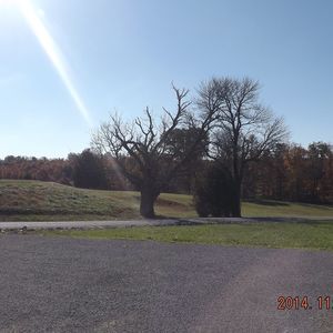 Meet your Posher, Rena