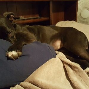 Meet your Posher, Katrina