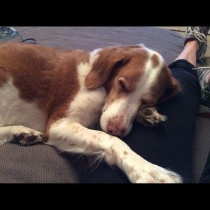 Meet your Posher, Marcy