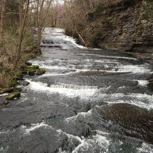 Meet your Posher, Sherri