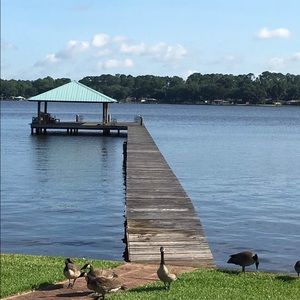 Meet your Posher, Esther