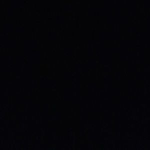 Meet your Posher, Sophia