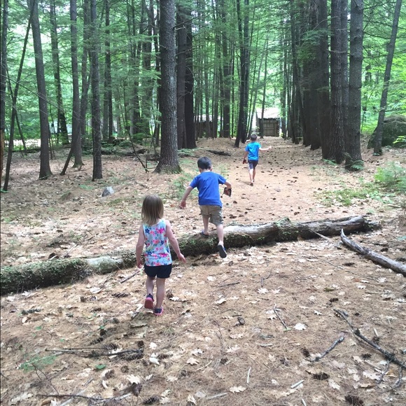 Meet your Posher, Chloe - Picture 1 of 1