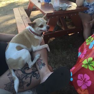 Meet your Posher, Jessica