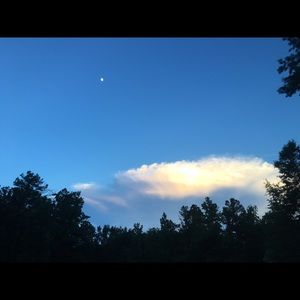 Meet your Posher, Bonnie