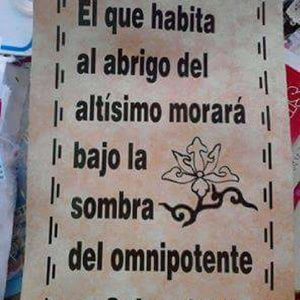 Meet your Posher, Luz