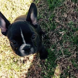 Meet your Posher, Kim