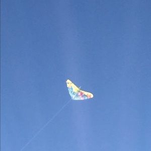 Meet your Posher, Niki