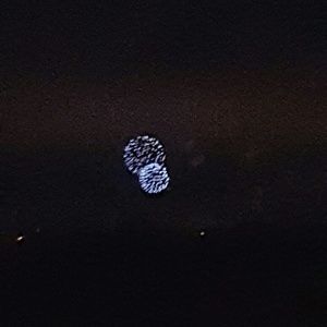 Meet your Posher, Tamara