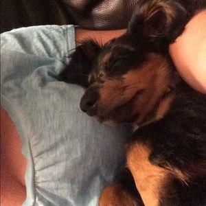 Meet your Posher, Cindi