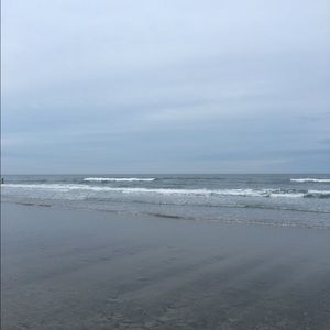 Meet your Posher, Fawn