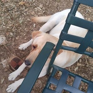 Meet your Posher, Tracy