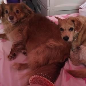 Meet your Posher, April