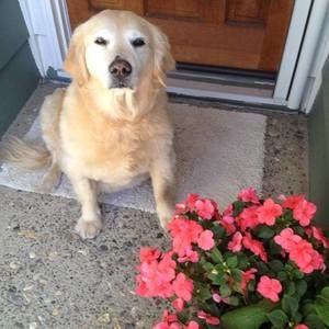 Meet your Posher, Kary