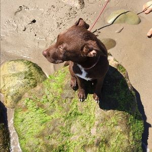 Meet your Posher, Cecilia